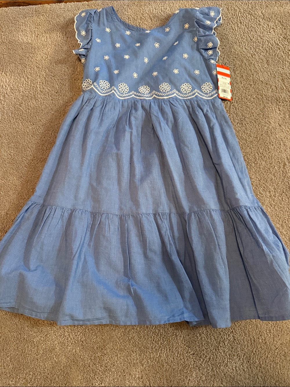 Cat & Jack Blue Embroidered Flutter-Sleeve Tiered Dress